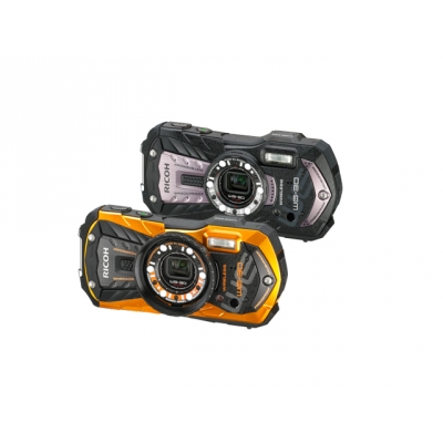 wg-30W-models.jpg