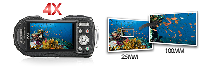 WG-4 GPS
